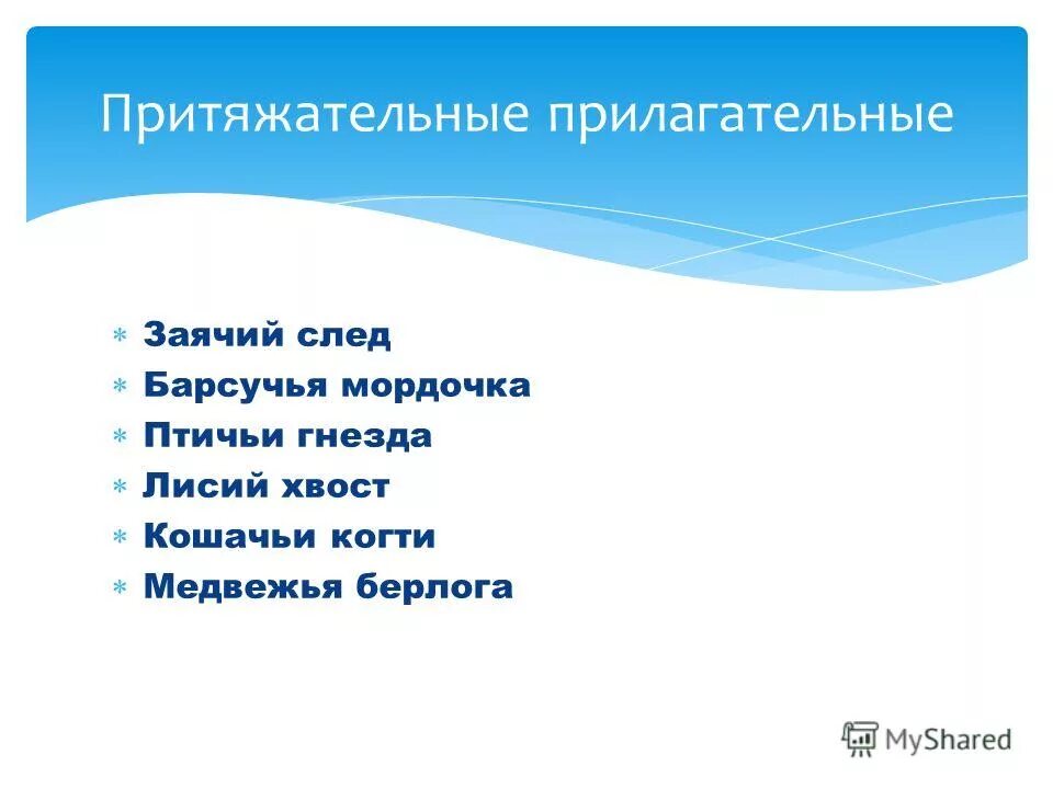 Гусиный разряд прилагательного. Предложение со словами заячьи следы. Притяжательное прилагательное заячий след. Притяжательные прилагательные заячий. Заячий след заячий характер.