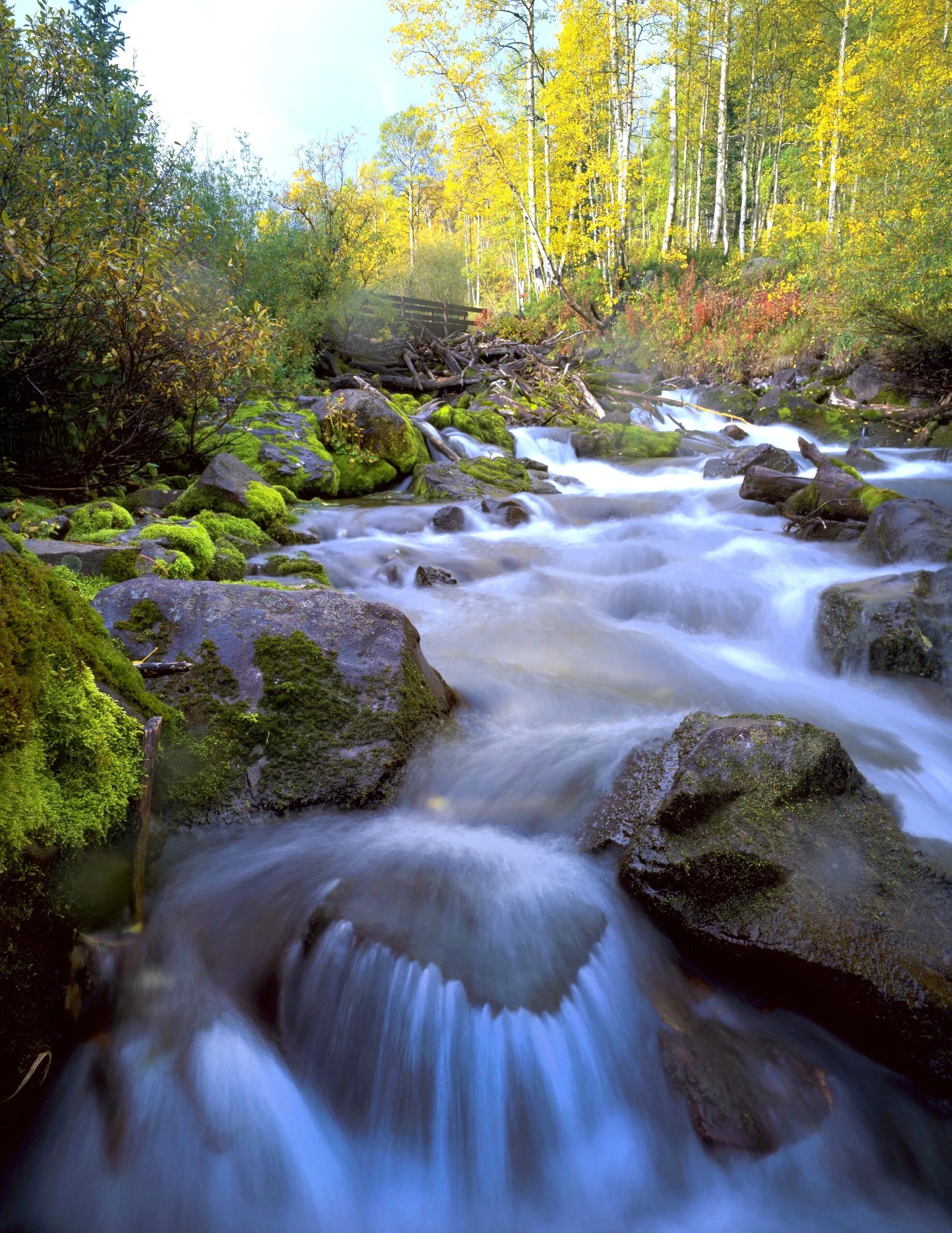 Самурский лес водопад. Ельницкий ручей. Самый маленький водопад горный Ручеек. Горная река в Абинске.