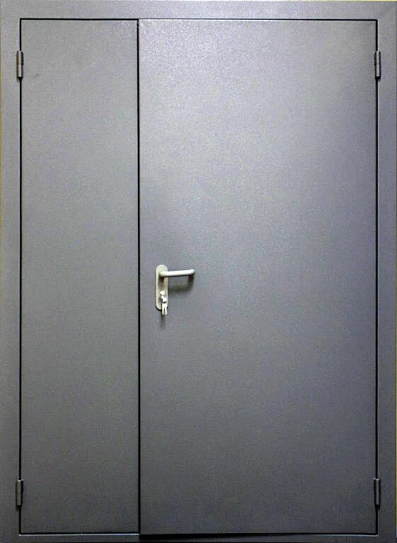 Железная тамбурная дверь. Дверь металлическая двухстворчатая 1250x2050. Дверь тамбурная металлическая. Дверь тамбурная двухстворчитаяметаллическая. Тамбурная дверь с порошковым напылением.