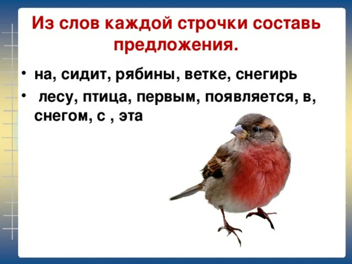 Предложение со словом Снегирь. Предложение про снегиря. Предложение про птиц. Предложение про птиц 2 класс. Снегирь звуки и буквы