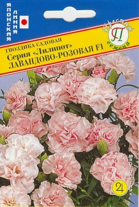 Гвоздика Садовая Лилипот. Гвоздика Лилипот Садовая Садовая. Гвоздика Садовая низкорослая Лилипот. Гвоздика Лилипот многолетняя семена. Гвоздика лилипот