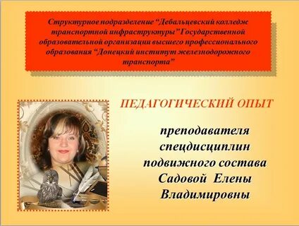 Профессионал опыт учителя