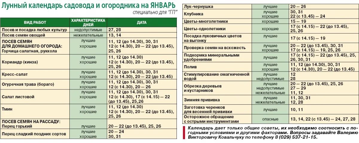 Благоприятные дни для уколов. Прививка по лунному календарю. Лунный календарь прививок. Календарь прививки деревьев. Календарь прививок плодовых деревьев.