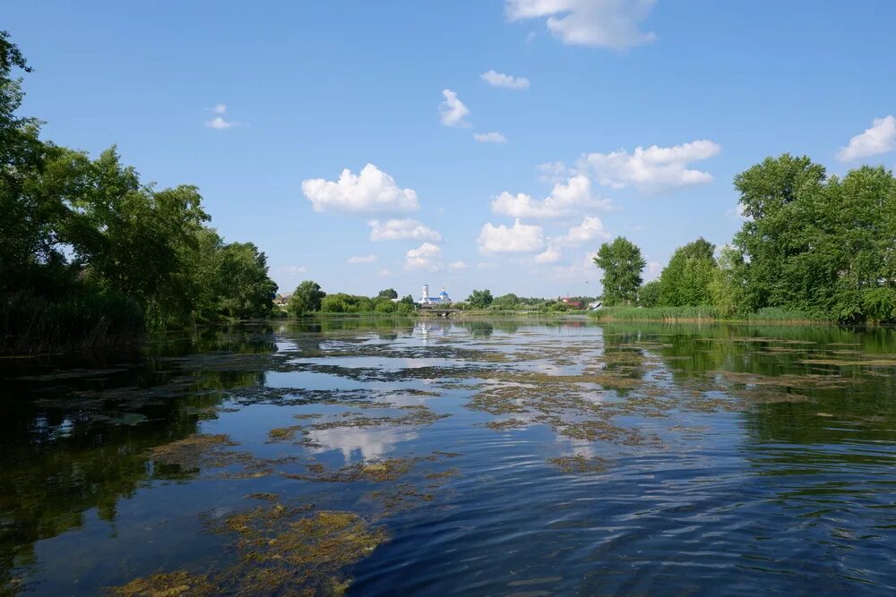 Села орда пермский край. Ординские пруды Пермский край. Орда город Пермского края. Река село Орда Пермский край. Река в Орда Пермский край.