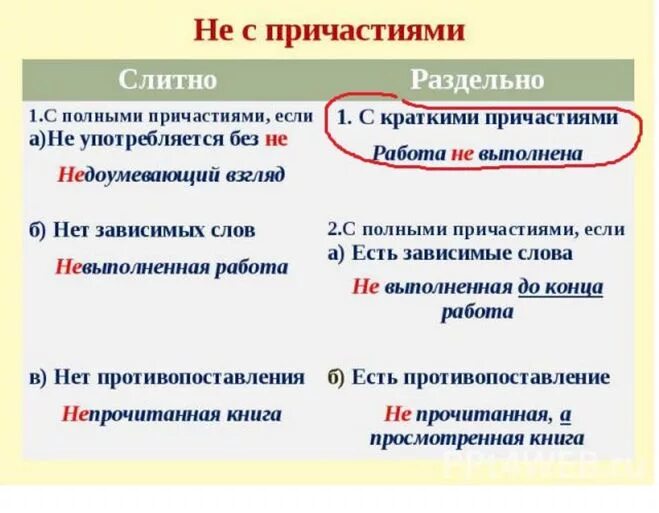Незачет как пишется слитно или. Не с краткими причастиями пишется. краткие причастия с не раздельно. не с пр частиями краткими. не с краткими причастиями пишется раздельно.