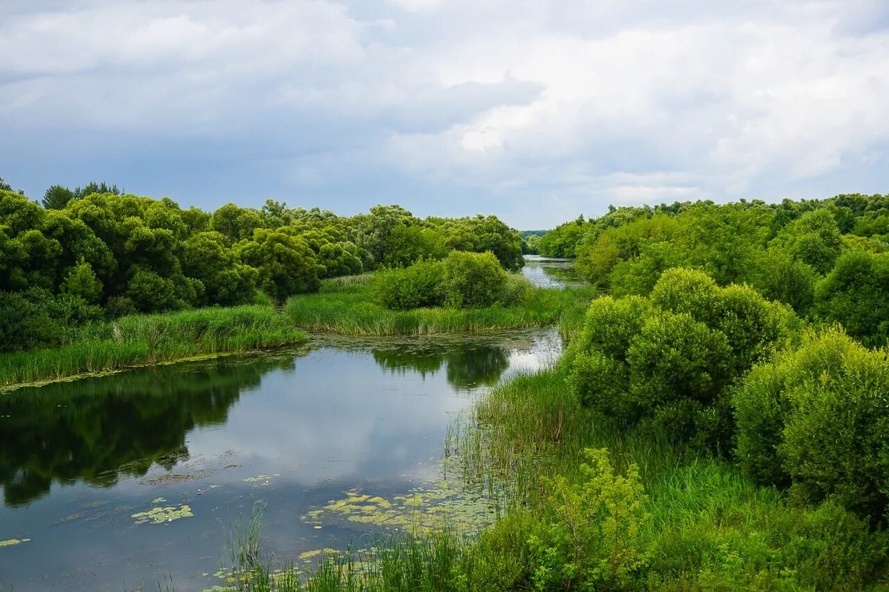 Рязанская область речка Ранова. Ранова река Рязанская. Проня река Рязань. Река Ранова Липецкая область. Алей беларуси