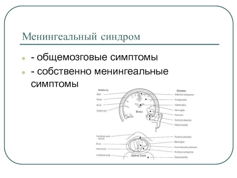 Синдром менингеальный синдром. Общемозговые и менингеальные синдромы. Собственно менингеальные симптомы. Общемозговые и менингеальные симптомы.