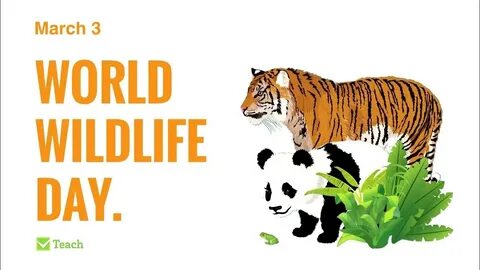 Wildlife перевод на русский
