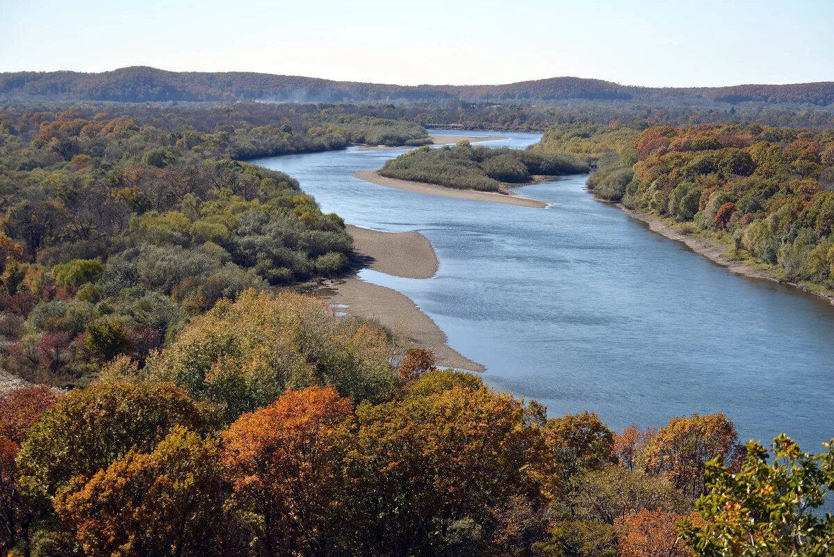 Река уссури хабаровский край. Чугуевский район приморский край. Река уссури приморский край. Животные реки уссури. Уссури.
