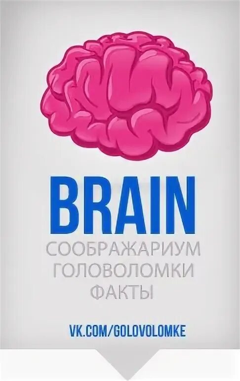 Головоломки здесь. Загадки для мозга. Puzzle Brain курсы. Головоломка для мозга. Загадка про головной мозг.