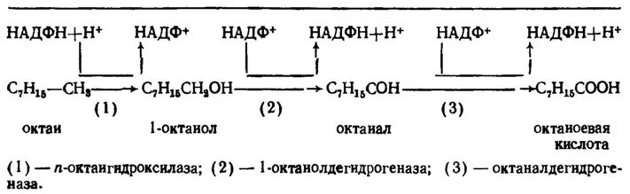 Окислительно восстановительные ферменты