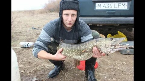 Рыбалка осень щука видео