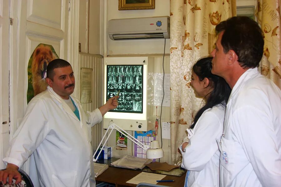 иванов сергей дгб 1 спб. детская больница святой марии магдалины спб. детская больница святой марии магдалины. детская больница святой марии магдалины спб. детская городская больница пятигорск.