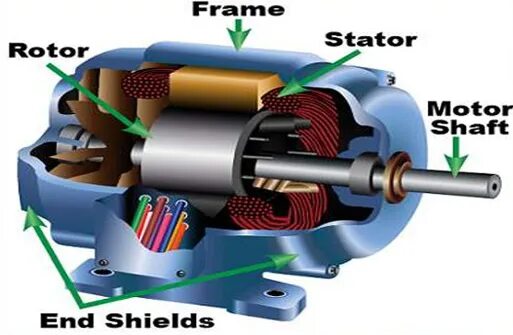 Three phase motors. Мотор - редуктор three-phase Induction Motor MS 802-4. Электродвигатель Induction Motor 220v. Im (Induction Motor) электродвигатель. DC Motor Rotor stator.