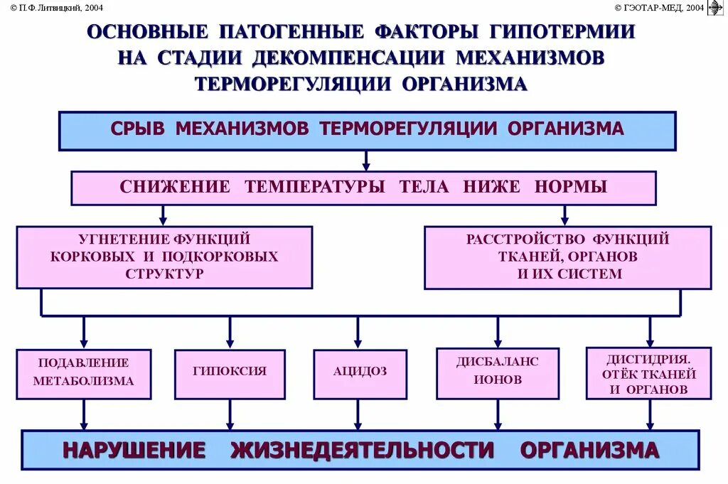 Состояние организма при котором замедляется жизненные процессы. Мнзанизмы гипотеремим. Механизмы гипертермии и гипотермии.. Гипотермия механизм. Патогенез переохлаждения.