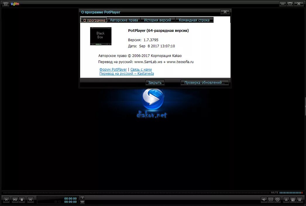 Интерфейс программы potplayer. Плеер potplayer. 21305. Potplayer логотип. Potplayer portable.