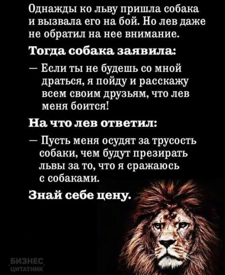Я лев со словами. Я лев со словами. Я лев со словами. Песня лев. Я лев.