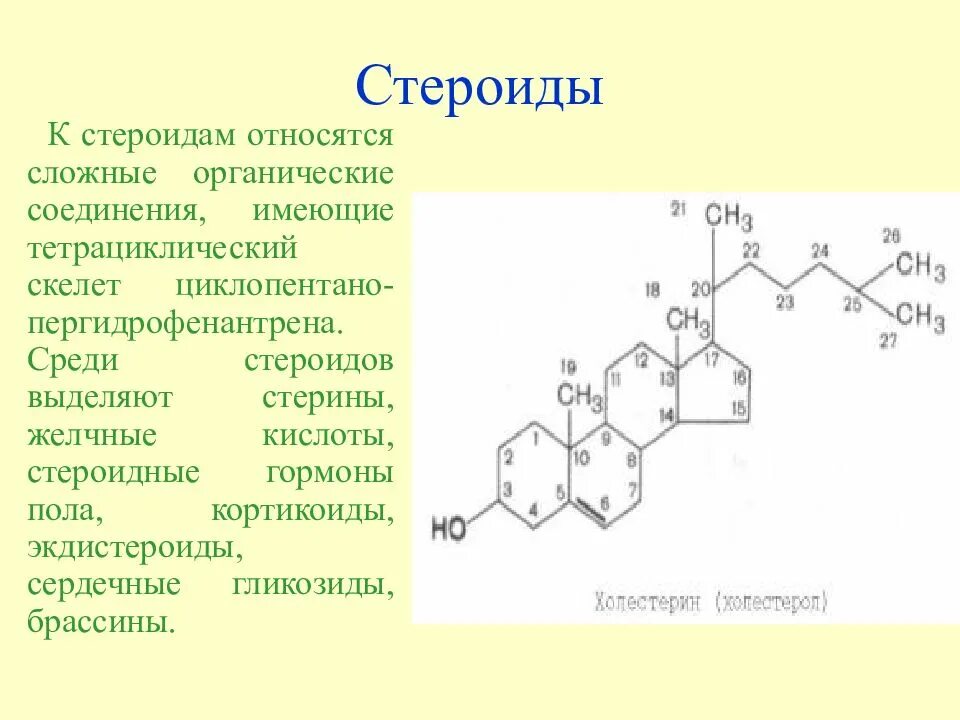 Стероиды функции биология. Характеристика стероидов. Характеристика стероидов. Стероиды структура. Строение стероидов биохимия.