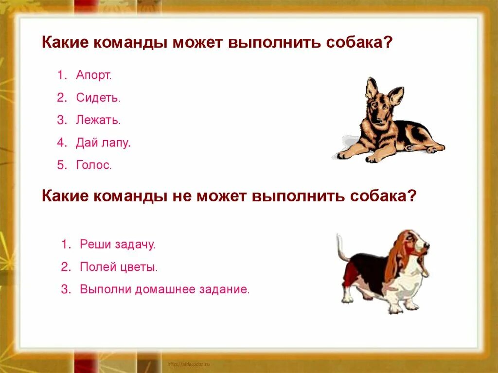 Какие команды могут выполнять собаки. Собака выполняет команды. Какие команды для собак. Какие команды можно дать собаке. Щенок какие звуки