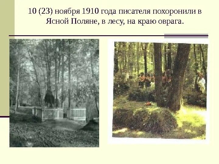 Могила Толстого. Где похоронили Льва Николаевича Толстого. Лев толстой могила в Ясной Поляне фото.
