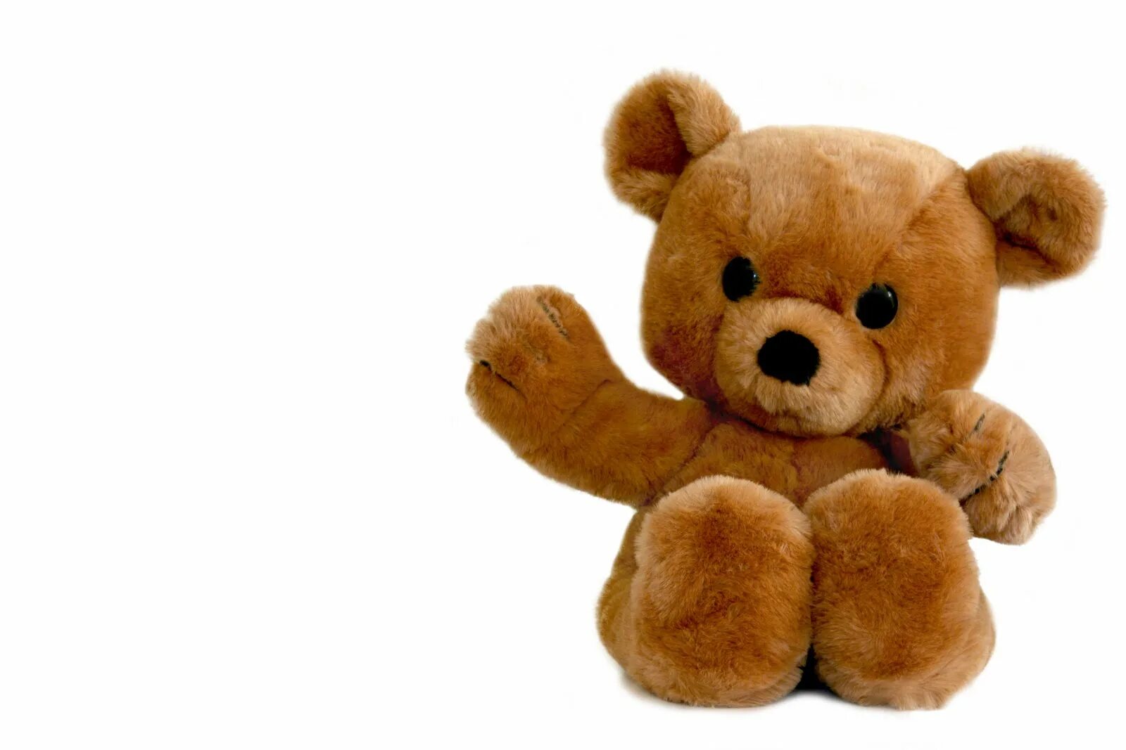 A brown teddy bear. Плюшевый медведь на белом фоне. Плюшевый медведь на прозрачном фоне. Плюшевый Медвежонок без фона. Мишка игрушка на белом фоне.