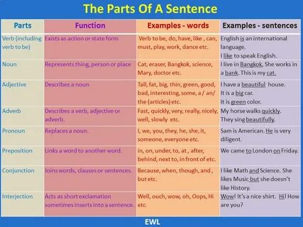 Article sentences