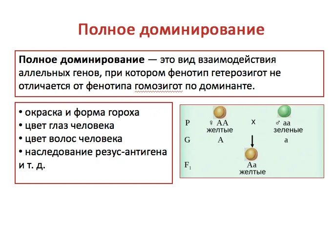 Определил полное доминирование. Полное доминирование генетика. наследование признаков при полном доминировании. полное доминирование это. полное доминирование это в генетике.