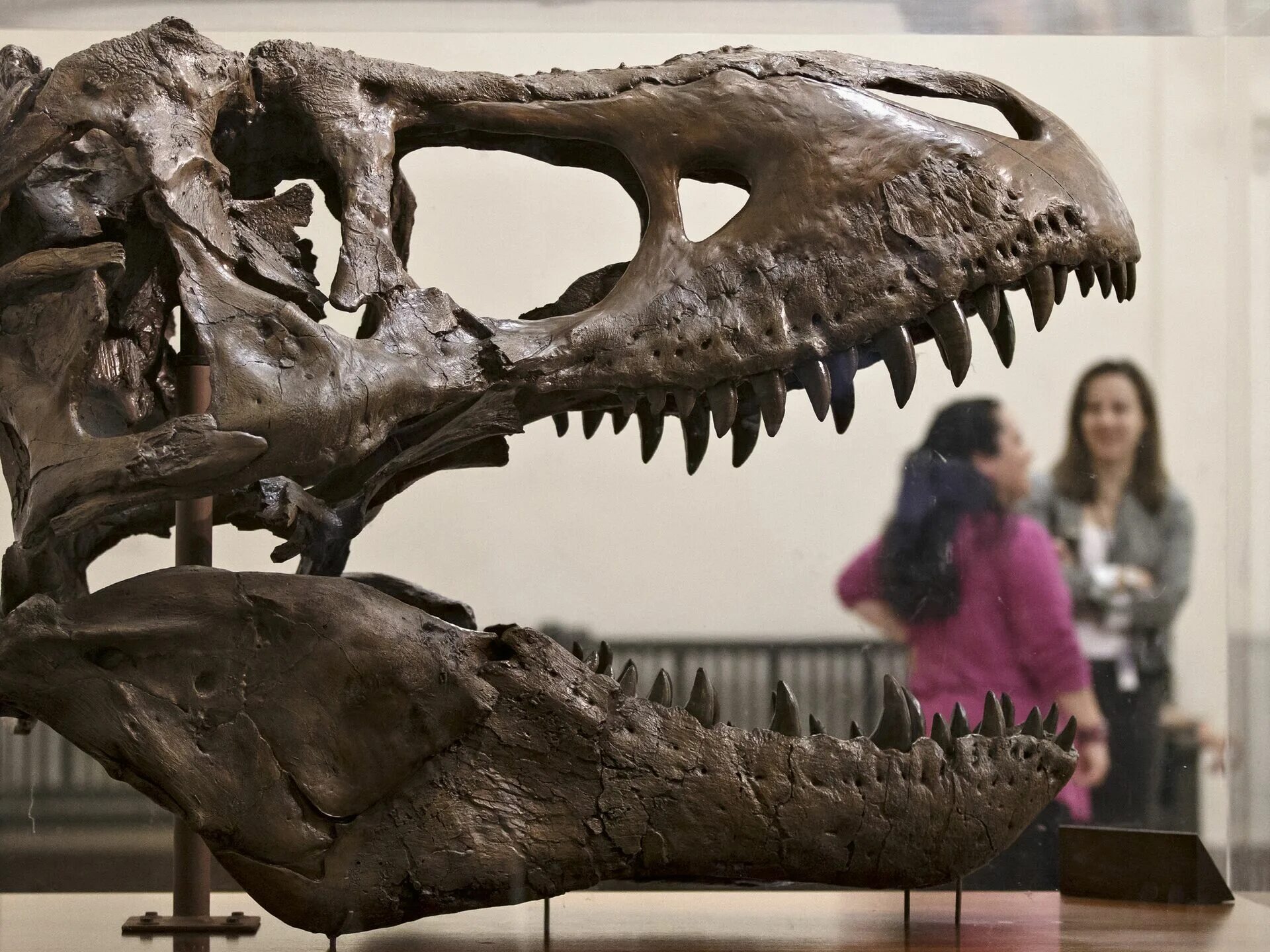 Черный тираннозавр рекс. Самый страшный динозавр в мире. Динозавр очень страшно. Страшные динозавры. Тираннозавр мир юрского периода 3.