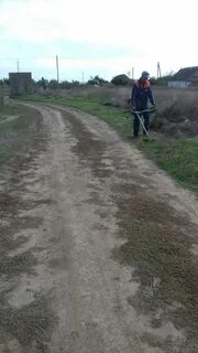 Сотрудники мсп