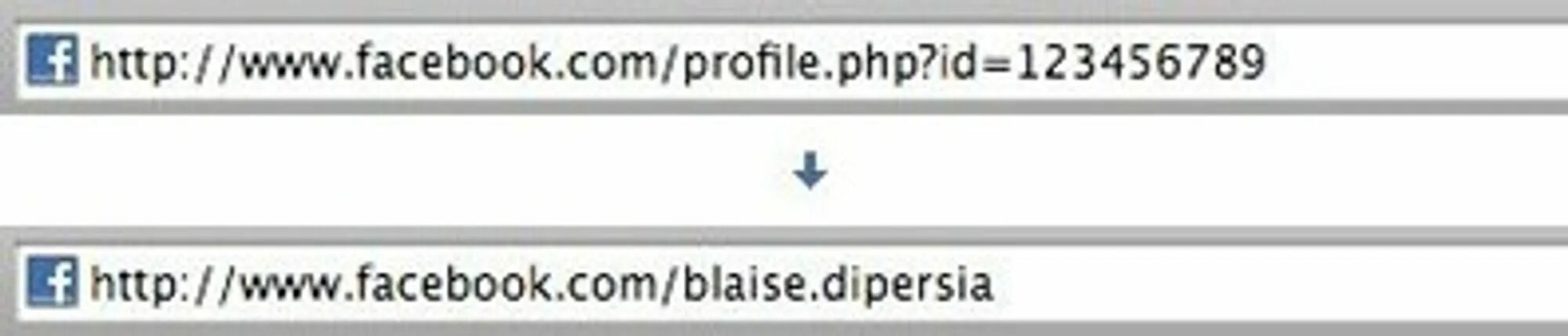Php new com. Facebook php. Https://www.Facebook.com/profile.php?. Https://www.Facebook.com/profile.php?ID=100008948417383. Https://www.Facebook.com/profile.php?ID=100012276072295.