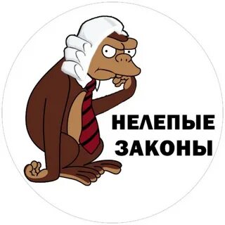 Это глупый такой закон