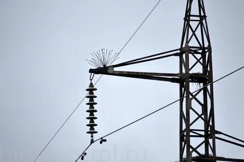 Птицезащитное устройство апзу