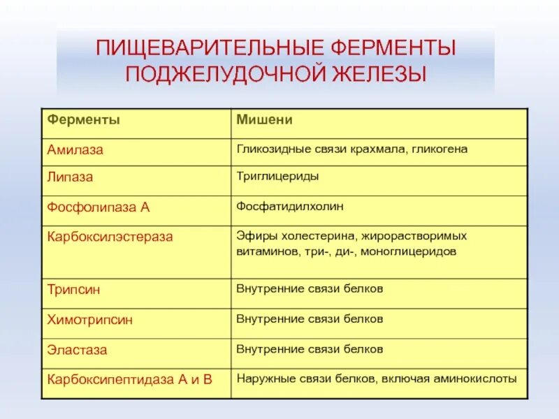 Ферменты поджелудочной железы поступают в. Ферменты секретируемые поджелудочной железой. Ферменты участвующие в пищеварительном процессе. Фермеетыподжелудочной. Пищеварительрые фермеьрв.