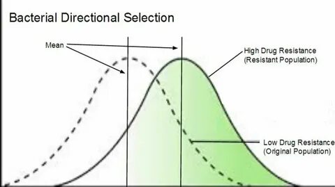 Selection meaning