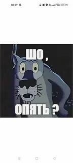 Шо опять картинка - binebis.ge