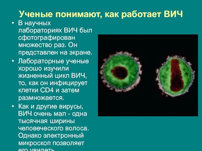 Как работает ВИЧ. Как работает СПИД. ВИЧ лаборатория. Профилактика ВИЧ В лаборатории презентация.