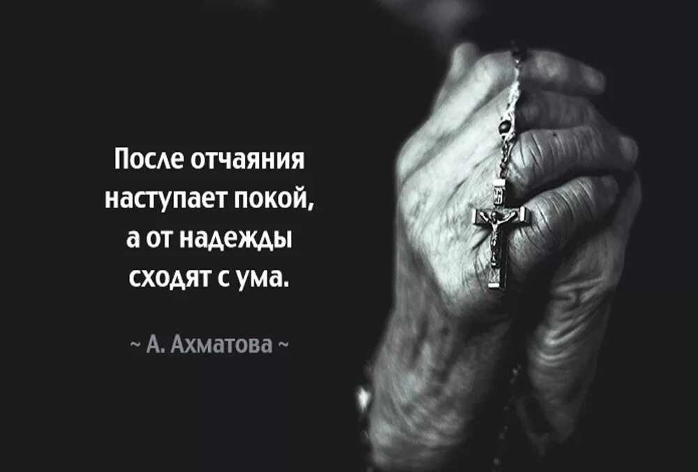 Если ты желаешь моего отчаяния 56