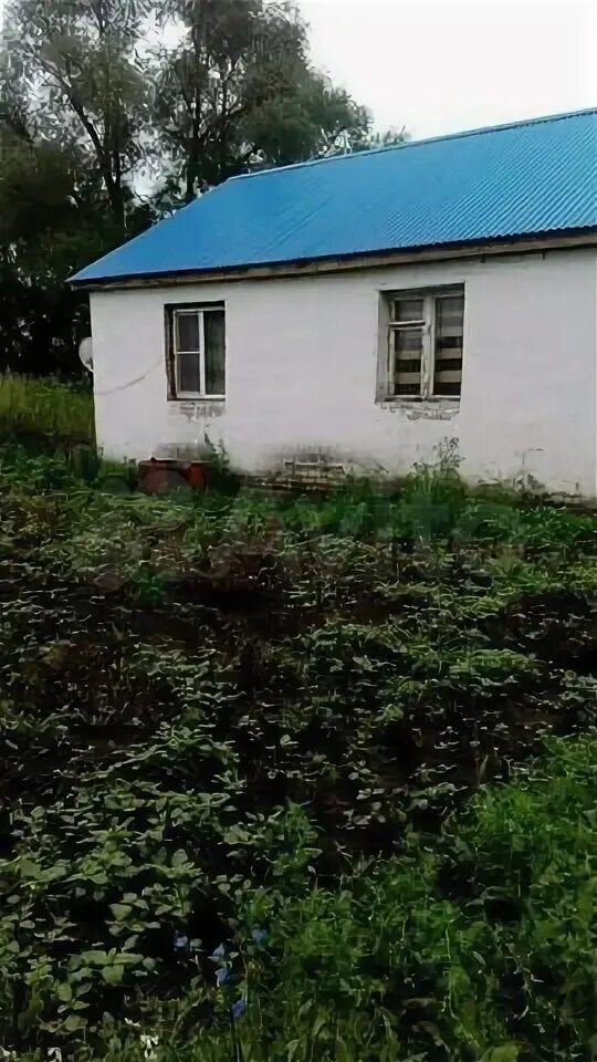 Село большое подовечье. Село большое подовечье. Село большое подовечье. Село большое подовечье. Село большое подовечье.
