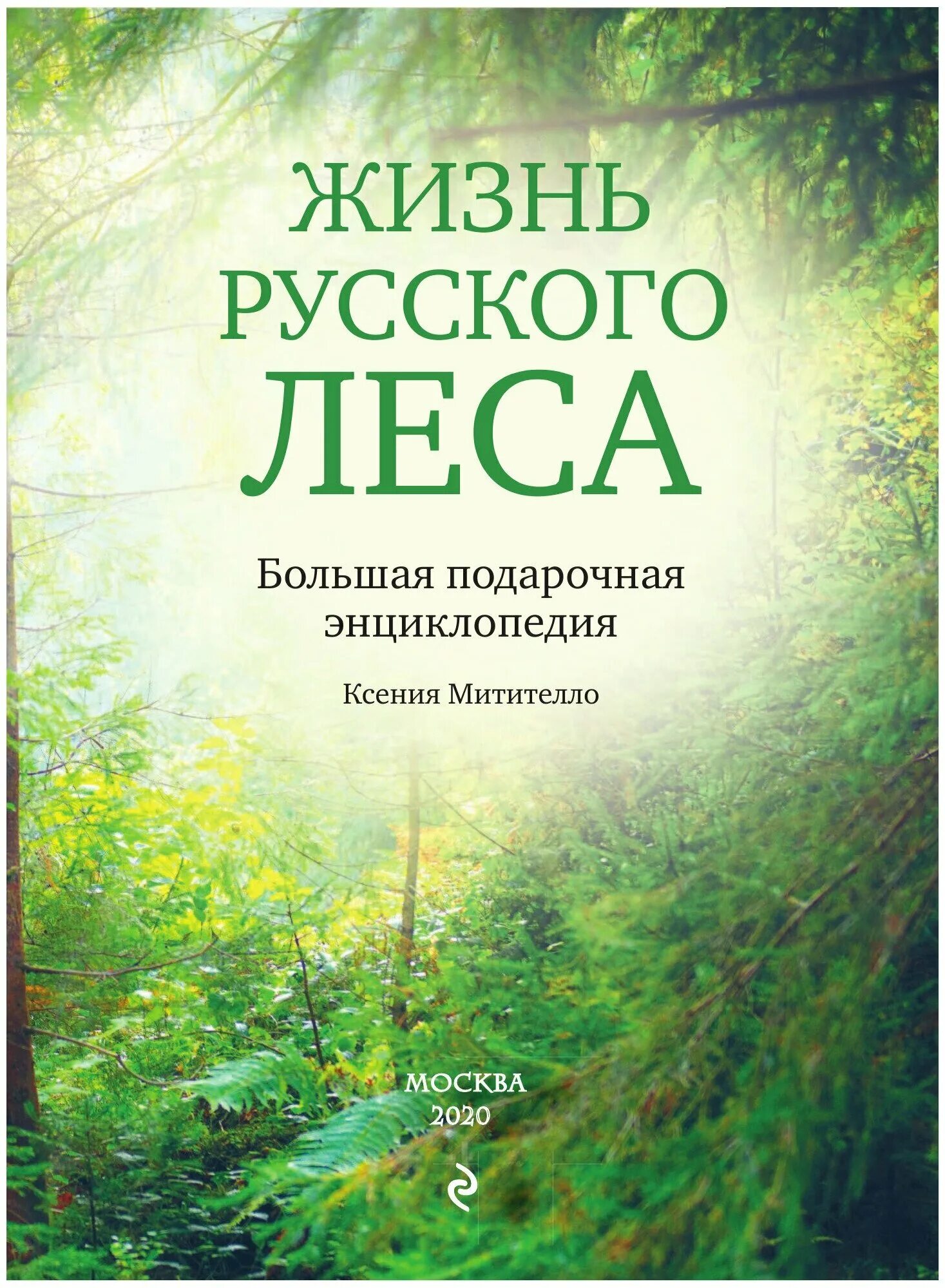 Беседы о лесе. Книга в лесу. Жизнь леса. Писатель в лесу.