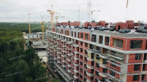 Спб гуру