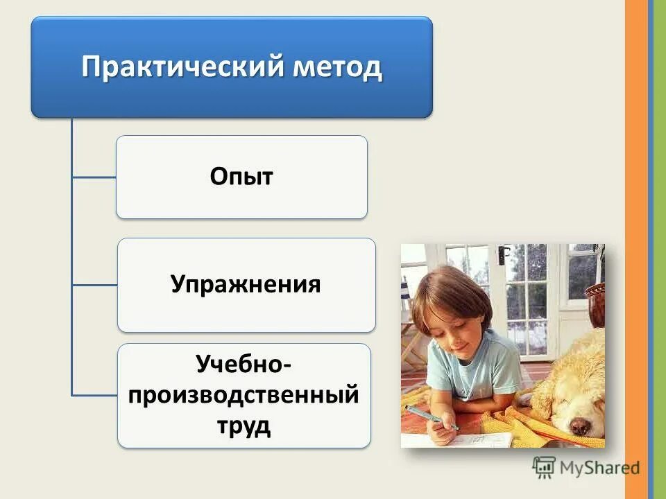 методы обучения обж. поведенческий эксперимент в кпт.