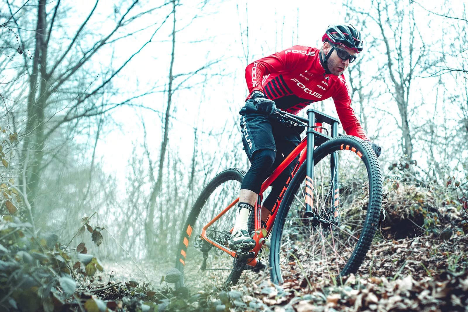 36er mtb. 36 велосипедов. Велосипед мтб 36. Focus 36er. 36 inch focus bike.