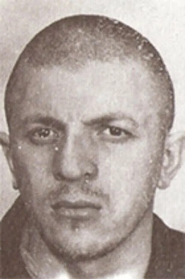 Ильи симонии. Ильи симонии. Ильи симонии. Япончик и дед хасан. Ильи симонии.