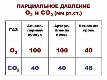 Норма углекислого газа в воздухе