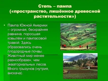 Степи америки называются