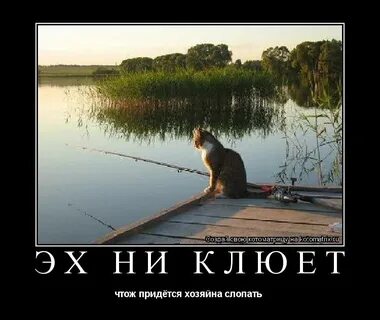 После грозы хорошо клюет рыба