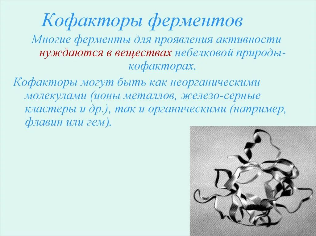 Оба фермента. Кофакторы ферментов. Кофакторы железа. Кофактор фермента это. Кофакторы для усвоения железа.