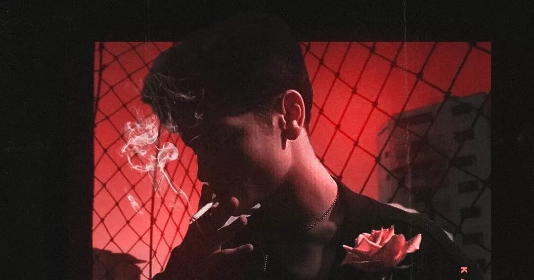 Как целует хулиган. Книги стаси андриевской читать. T1one и zippo. Любимый хам t1one. Как целует хулиган zippo feat.