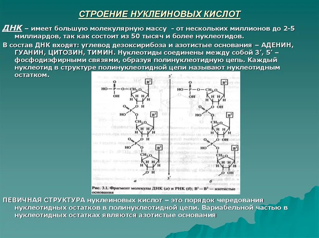 Нуклеиновые кислоты выделяют