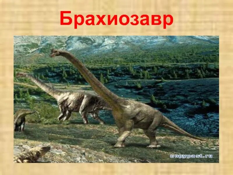 Когда жили динозавры урок. Брахиозавр. Брахиозавр динозавр. Брахиозавр для 1 класса. Брахиозавр окружающий мир.